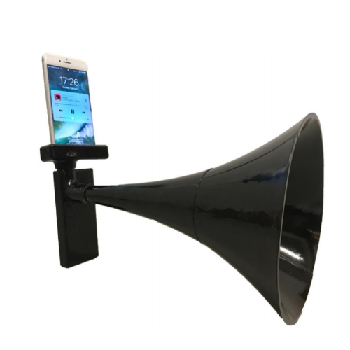 Acoustic Smart Phone Speaker